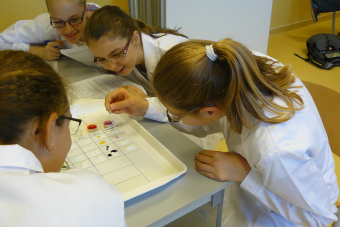 Célegyenesben az MTA Tantárgy-pedagógiai Kutatási Programja –  a Magyar Tudomány tematikus összeállítása